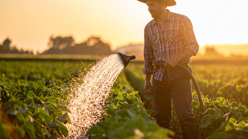 Agropecuária moderna com foco em sustentabilidade e estratégia apresentada por Hebron Costa Cruz de Oliveira.