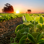 A agropecuária une tradição e sustentabilidade com visão de negócios segundo Hebron Costa Cruz de Oliveira.