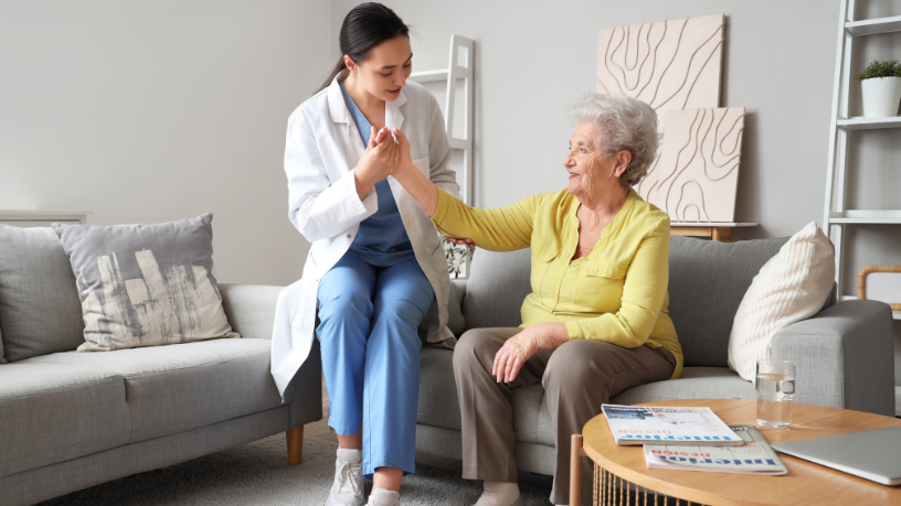 Sindnapi - Sindicato Nacional dos Aposentados, Pensionistas e Idosos