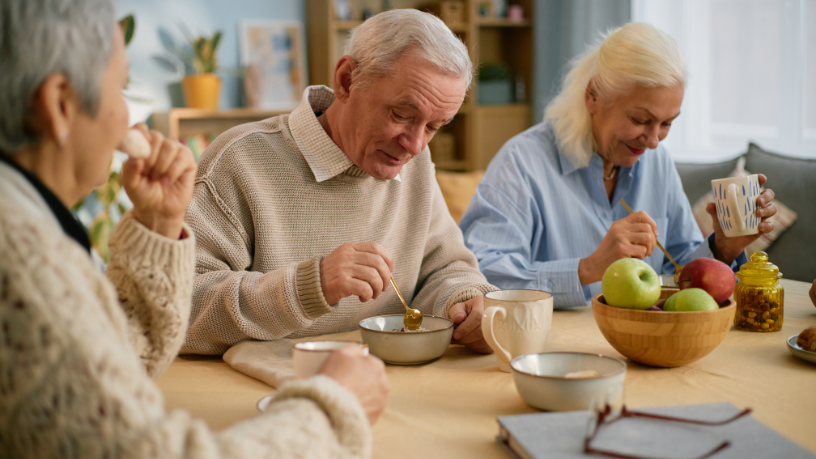 Sindnapi - Sindicato Nacional dos Aposentados, Pensionistas e Idosos